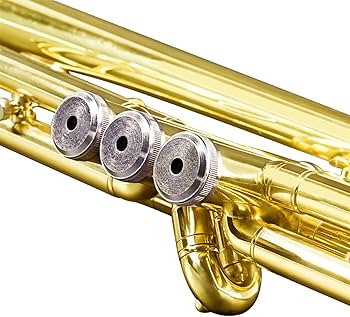 Amazon | 初心者金管楽器 トランペット楽器 B-フラットトランペット