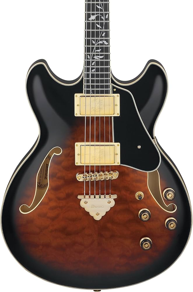 Amazon | Ibanez/Artcore Expressionist AS93QMSP DBS (Dark Brown