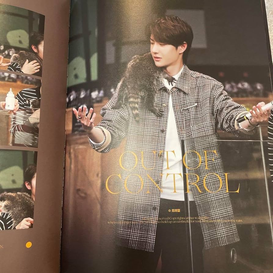 Amazon.co.jp: 陳情令 王一博 肖戰 肖战 bjyx 写真集rose kiss secret