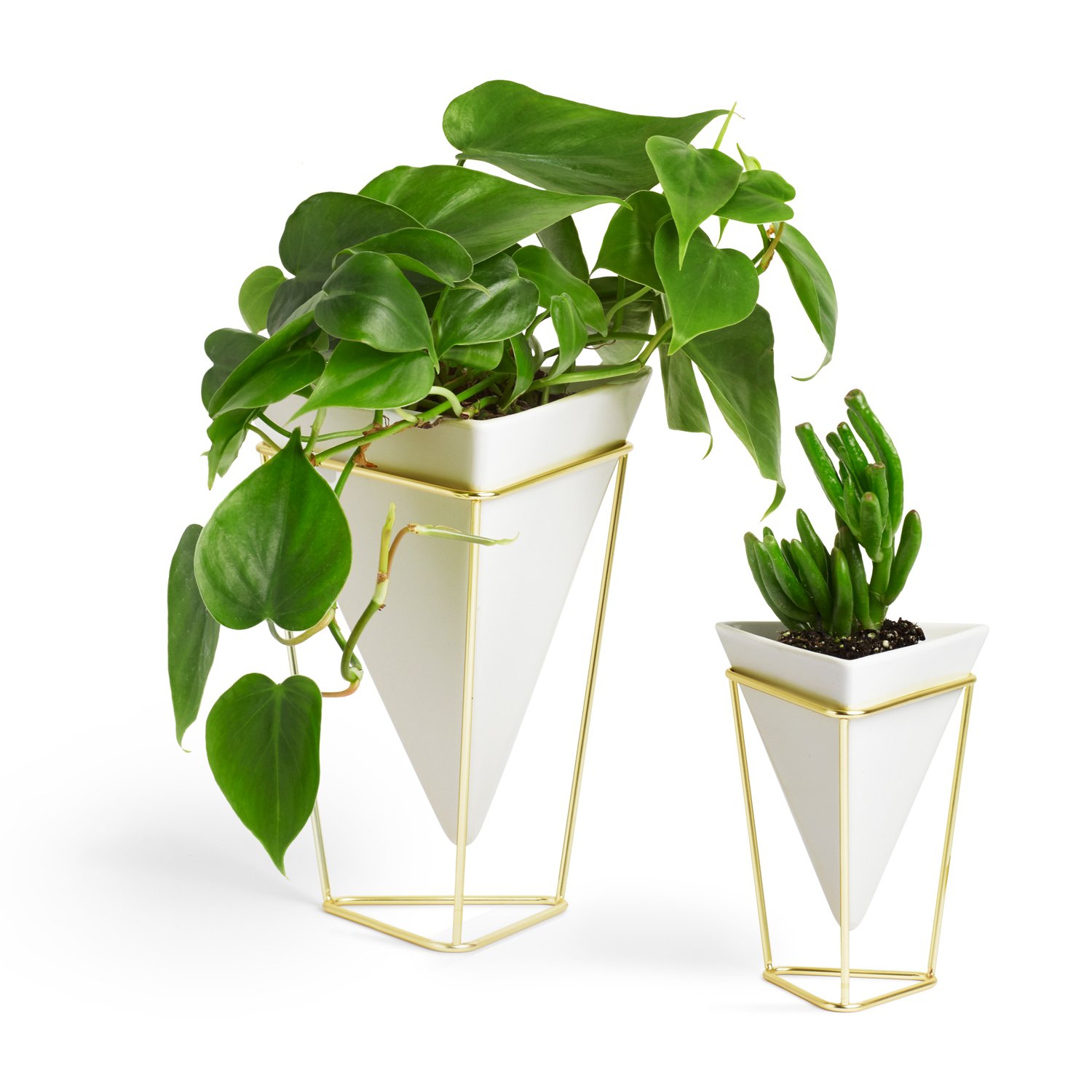 Amazon.com: Umbra Trigg Desktop Planter Vase & Geometric Container