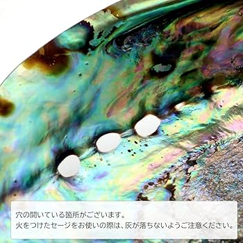 Amazon.co.jp: アバロンシェル 浄化皿 1枚売り パウアシェル 貝殻
