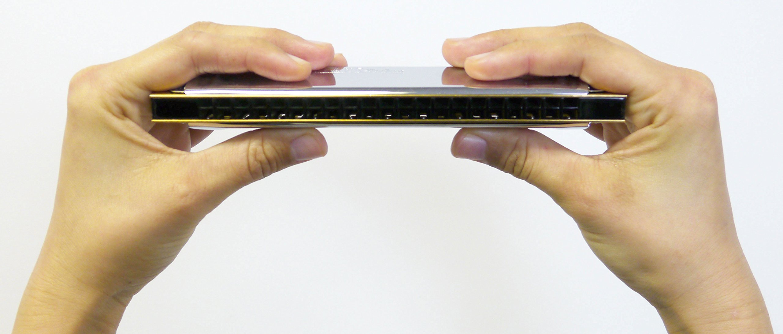 Amazon | TOMBO 複音ハーモニカ F調 特製トンボバンド 21穴 1521