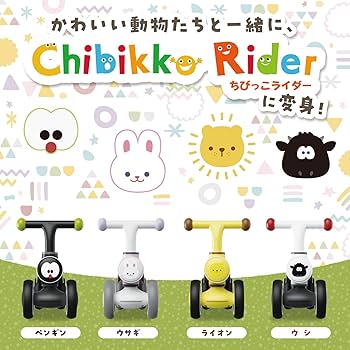 Amazon.co.jp: 【米国グッドデザイン賞受賞】PYKES PEAK(パイクス