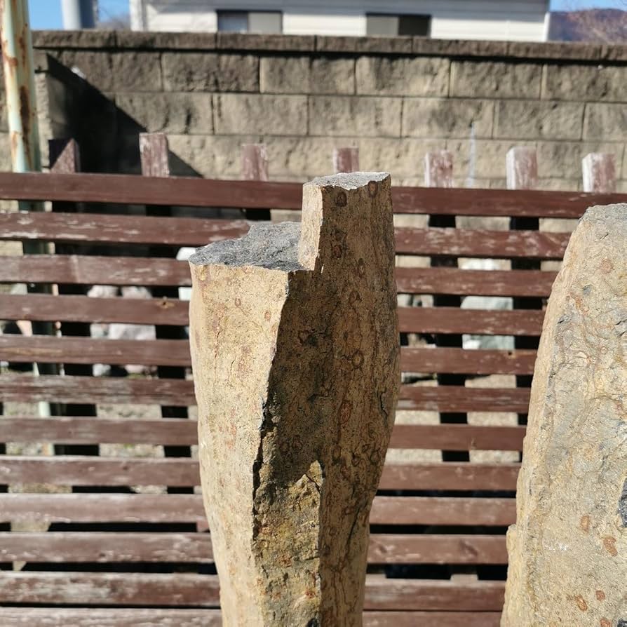 Amazon.co.jp: 六方石セット庭石鑑賞石石盆石水石灯籠庭坪庭盆栽