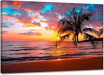 71Rj+zXjtaL._AC_UF350,