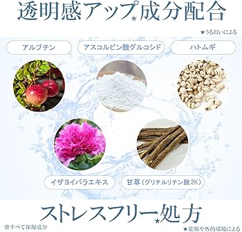 Amazon.co.jp: 【 日焼け止め 化粧下地 クリーム 】 無色 40g [ 顔