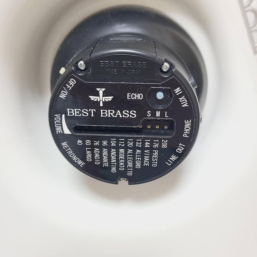 Amazon | BestBrass / E-SAX ALTO TYPE II ES2-AS ベストブラス イー