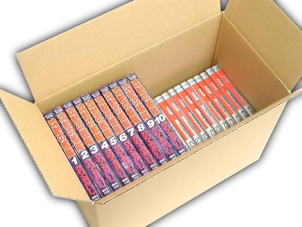 Amazon.co.jp: VillageBox 段ボール 100サイズ 青年コミック40冊用 10