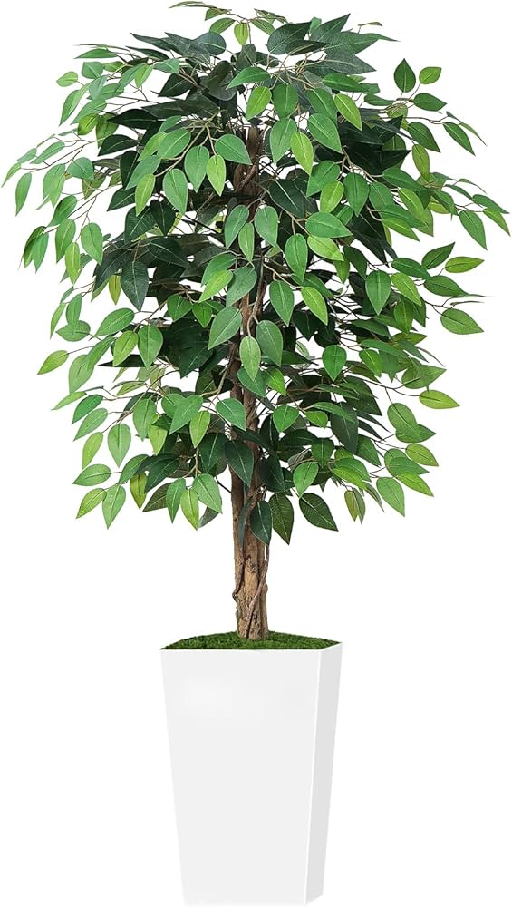 Amazon｜Keeplush【フェイクグリーン ベンジャミン 高150cm】観葉植物