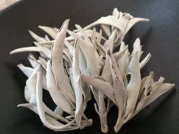 Amazon | ホワイトセージ 浄化用 お香 無農薬 枝付き クラスタータイプ