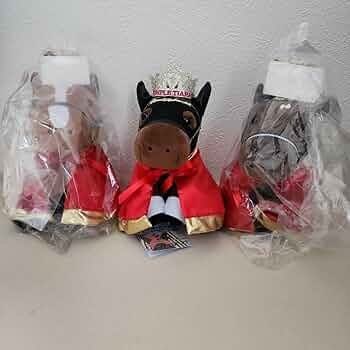 71SAcevSOFL._AC_UF350,