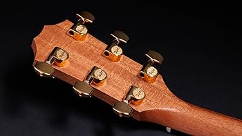 Amazon | Taylor 50th Anniversary 217e-SB Plus LTD アコースティック