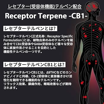 Amazon | 【KUSH JP】 CBNリキッド 高濃度 CBN -PRO- 【改正基準適合
