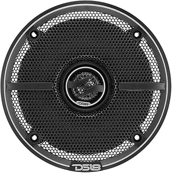 Amazon.com: DS18 ZXI-5254 5.25