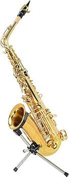 Amazon.co.jp: サックス 初心者 アルトサックス Eb Saxophone ゴールド