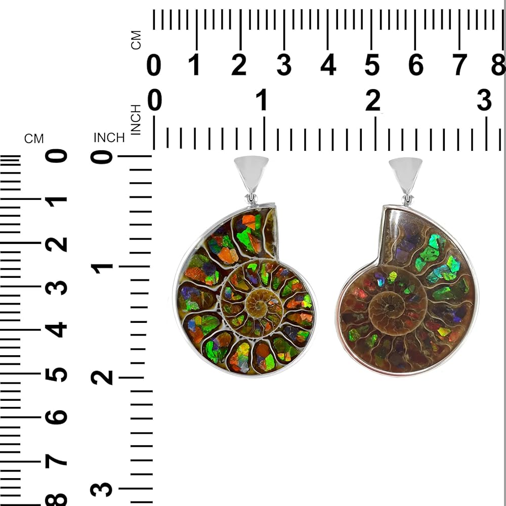 Amazon.co.jp: Starborn ☆ 虹色に輝くアンモライトをアンモナイトに