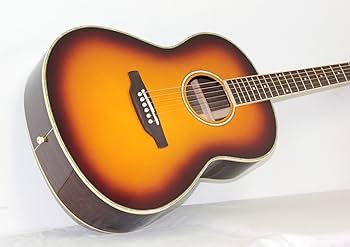 Amazon | ARIA アリア マイスターシリーズ BS MSG-02 | スチール弦