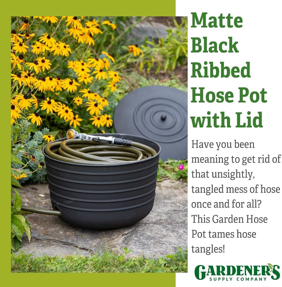 71Thu3T4UJL._AC_UF1000,