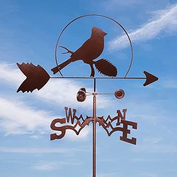 71TjKI-e1mS._AC_UF350,