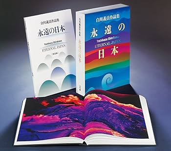 71U02AaV2RL._AC_UF350,