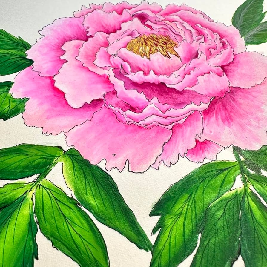 Amazon.co.jp: B5サイズ 牡丹 ボタニカルアート アクリル絵の具 絵画