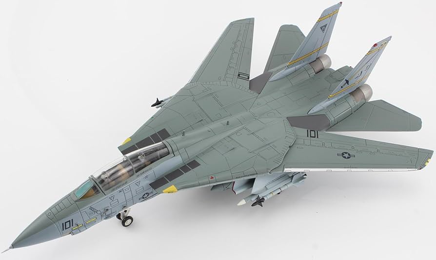 Amazon.com: Grumman F-14B Tomcat Fighter Aircraft Last Gypsy Roll