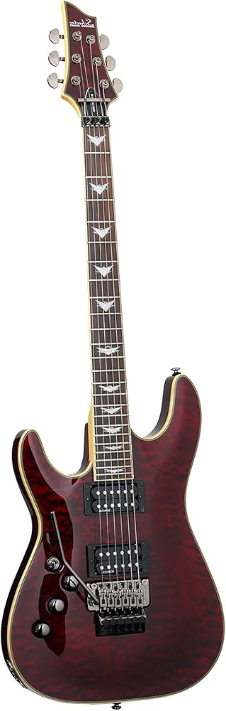 Amazon | Schecter シェクター Omen Extreme-FR エレキギター (Black