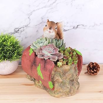 Amazon.co.jp: ガーデンプランターポット 排水付き 室内 屋外 リスの