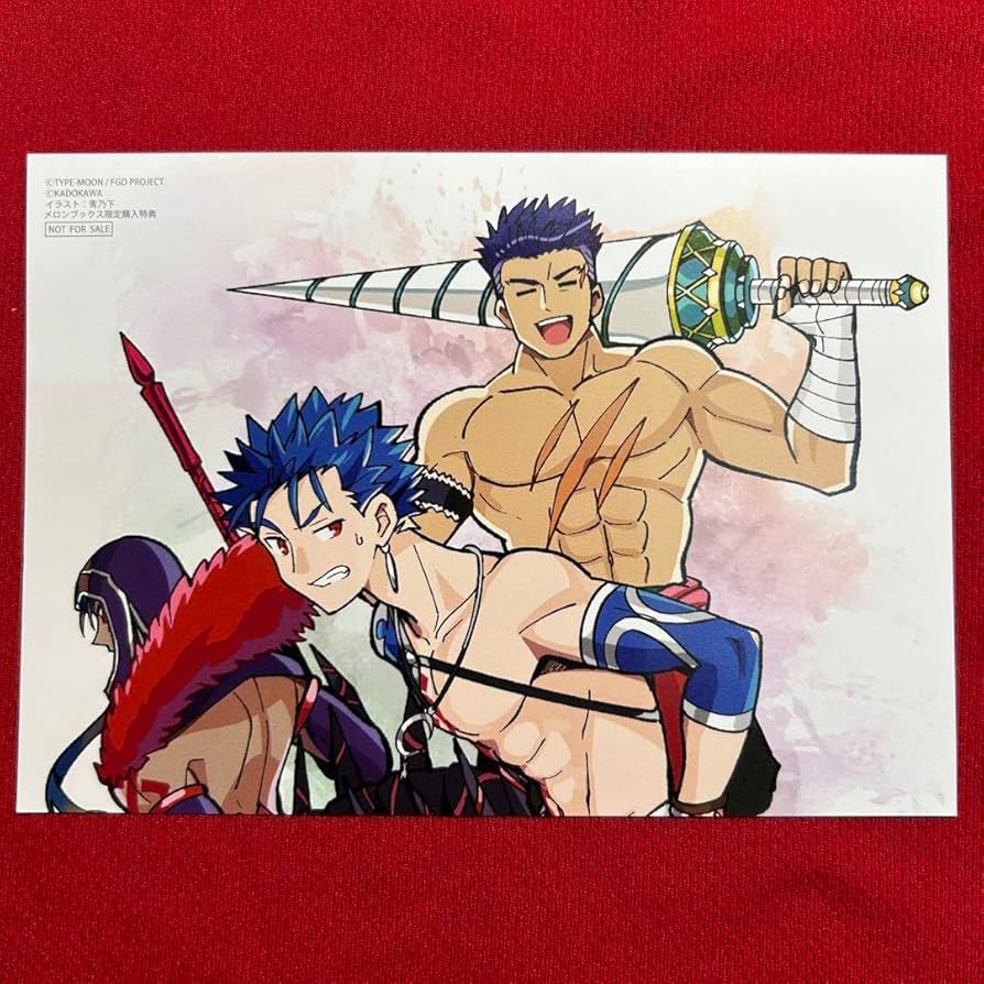 Amazon.co.jp: Fate ランサー イラストカード クーフーリン オルタ