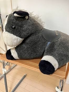 Amazon.co.jp: オグリキャップ 2L特大 ぬいぐるみ : おもちゃ