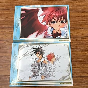 Amazon.co.jp: 亜71 カード トレカ まとめ D N ANGEL ダーク 日渡 怜