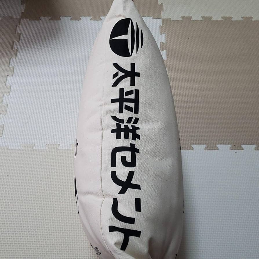 Amazon.co.jp: 太平洋セメント クッション : おもちゃ