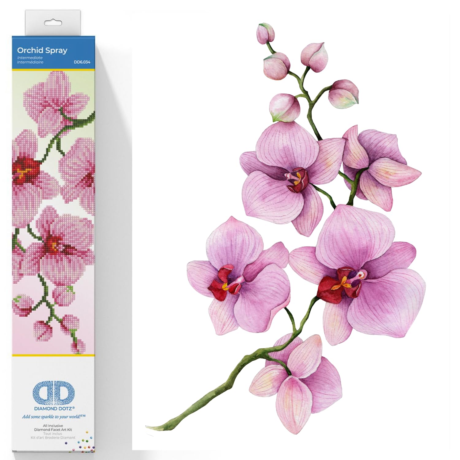 Amazon.com: DIAMOND DOTZ Orchid Spray Diamond Painting Kits for