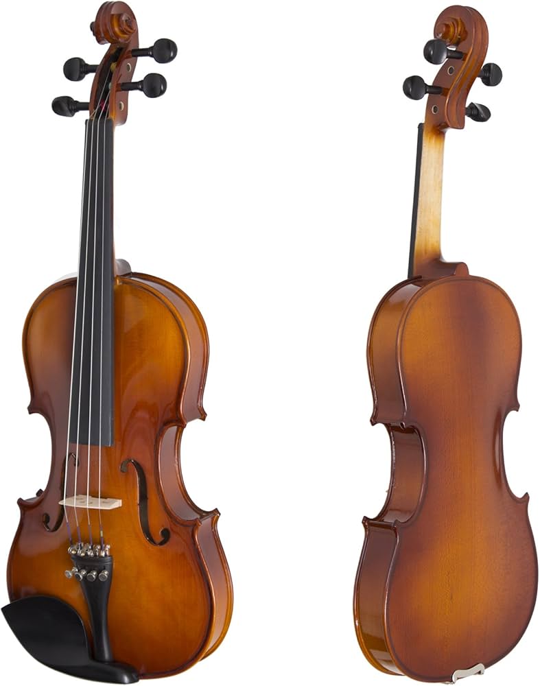 Amazon.com: Cecilio 4/4 CVN-300 Ebony Fitted Solid Wood Violin