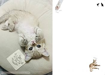 Amazon.co.jp: にゃんこのぷにぷに肉球手帳 2026 (インプレス手帳2026