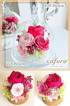 Amazon｜プリザーブドフラワー ガラスドーム (クイーンレッド, ウサギ