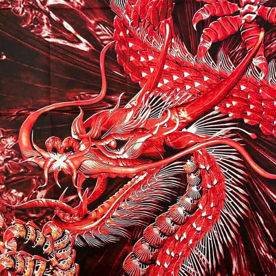 Amazon.co.jp: [AiO JAPAN] 風水 タペストリー 紅龍 ドラゴン 150×100