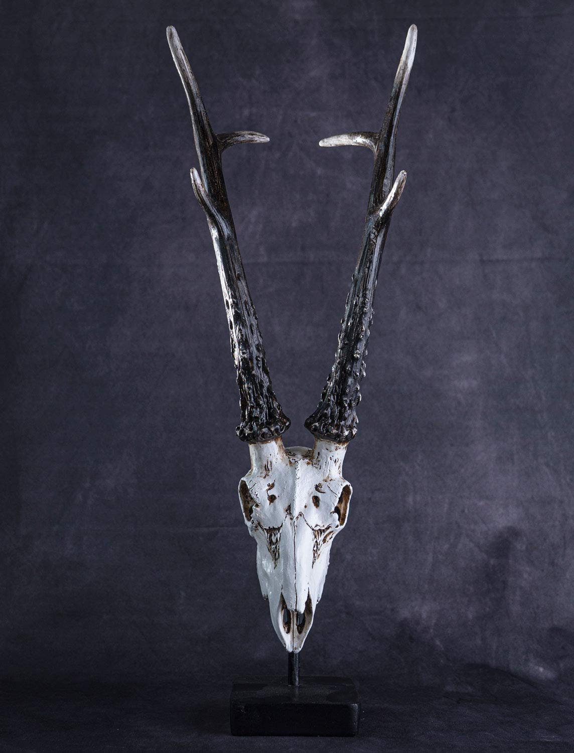 Amazon.co.jp: SUMMIT COLLECTION ポリストーン 鹿の頭蓋骨 金属製