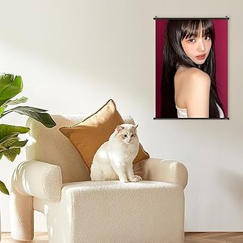 Amazon.co.jp: IVE アイヴ ウォニョン ポスター 掛け画 組立式 アート