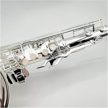 Amazon | シルバープロフェッショナルテナーサックス Bb フレンチ