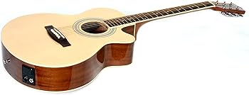 Amazon | Sepia Crue セピアクルー エレアコギター EAW-01/N