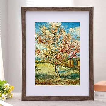 71Xl+rNEGaL._AC_UF350,