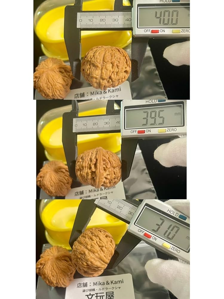 遊び胡桃 超希少 極品 3ムキ 帝王帽 クルミ くるみ コレクション 趣味 健康