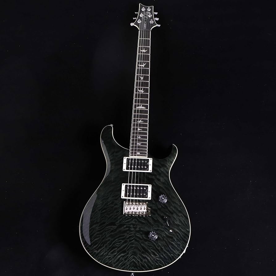 Amazon | PRS SE Custom24 Quilt Gray Black 限定モデル ポールリード