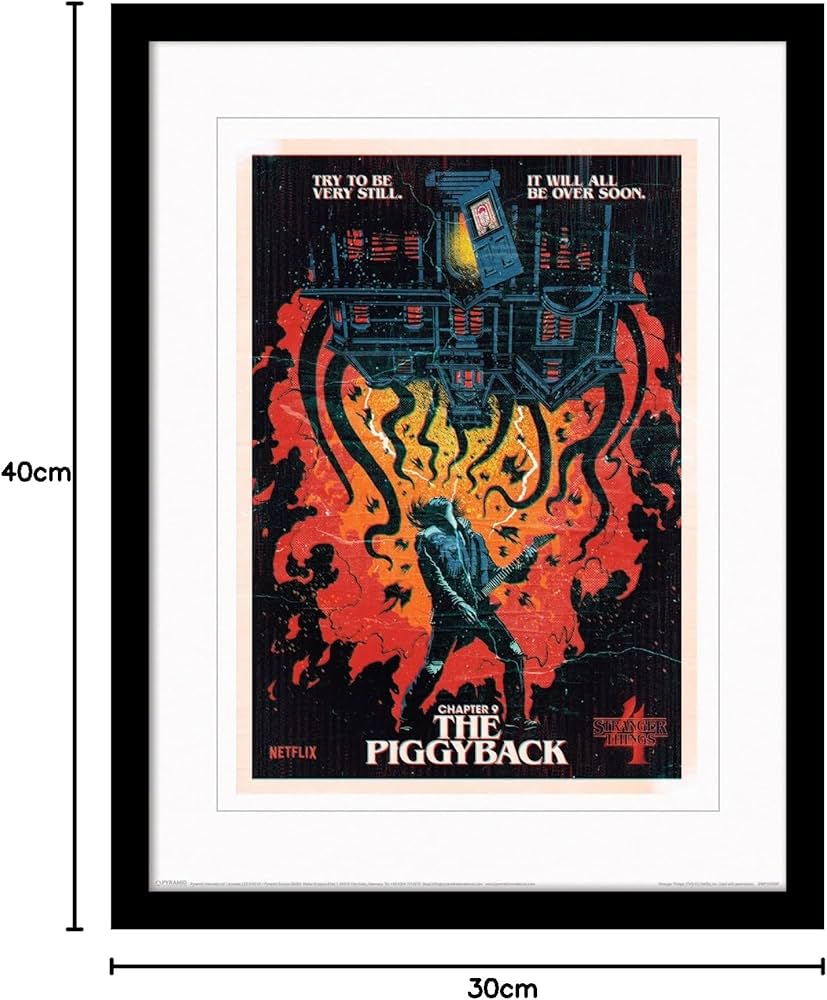 Amazon.co.jp: ピラミッド・インターナショナル・ストレンジャー