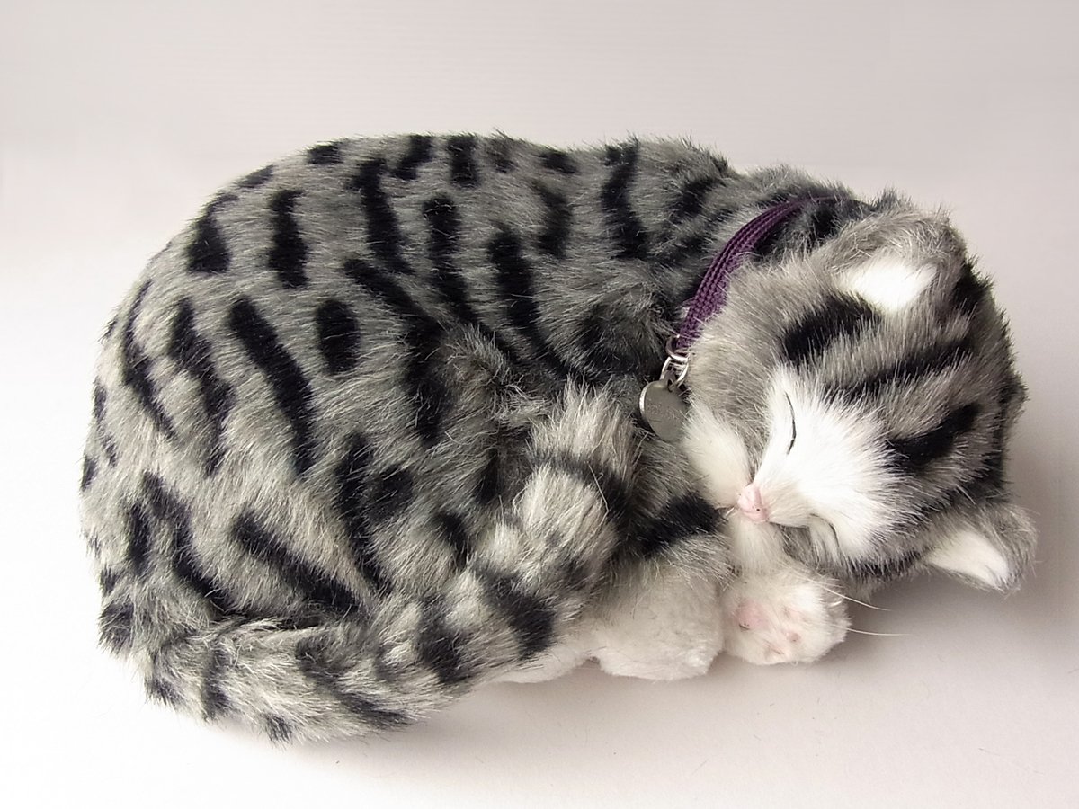 Amazon.co.jp: ニニアンドキノ パーフェクトペット (小サイズ