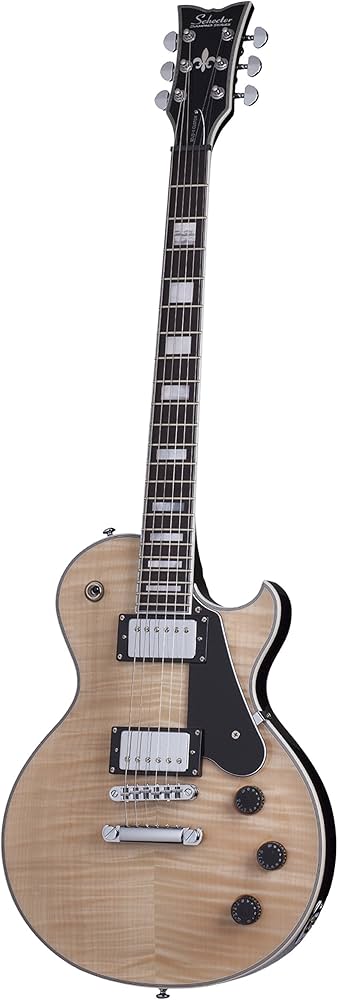 Amazon.com: Schecter Solo II Custom - Gloss Natural : Musical