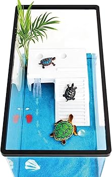 Amazon | 亀用大型タートルタンク アクリル水槽 360度見える 爬虫類