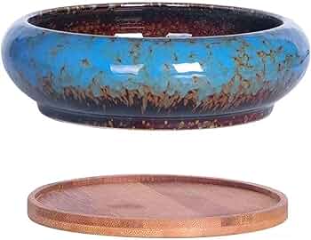 Amazon.co.jp: Facecolor 多肉植物鉢 盆栽鉢 釉掛け モダンな盆栽