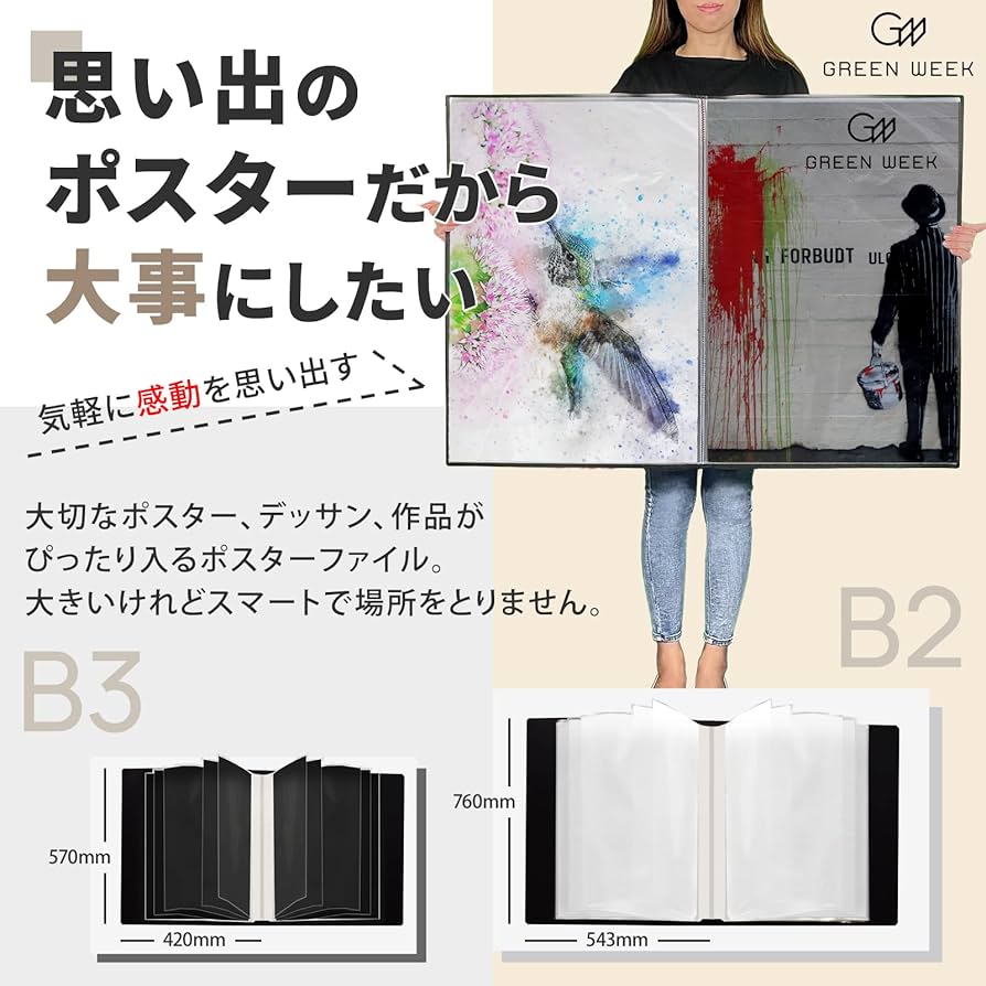 Amazon.co.jp: グリーンウィーク B2 ポスター ファイル 収納20枚（中紙